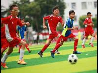 7大方面23项措施助力淄博体育强市建设